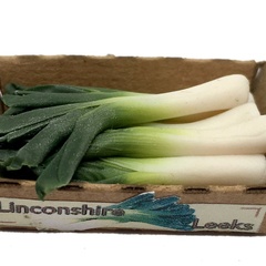 Image of Leeks Crate (new style)