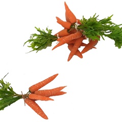 Image of Carrot Bunch New