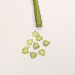 Image of Pickle MultiCane